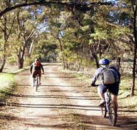 Bike About Mountain Bike Tours And Hire - Schoolies Week Accommodation