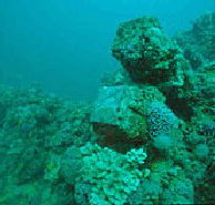 Adelaide's Underwater Heritage Trail - Schoolies Week Accommodation