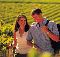 Lady Bay Vineyard - Schoolies Week Accommodation