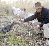 Sinclair's Gully - Schoolies Week Accommodation