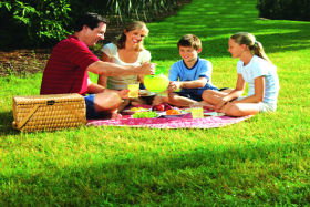 Bruny Island Berry Farm - Schoolies Week Accommodation 0