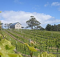 Bruny Island Premium Wines Bar and Grill - Schoolies Week Accommodation
