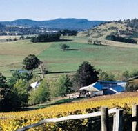 Freycinet Vineyards Pty Ltd - Schoolies Week Accommodation