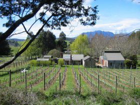 Wilmot TAS Schoolies Week Accommodation
