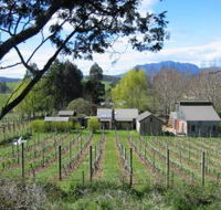 Wilmot Hills Vineyard - Schoolies Week Accommodation