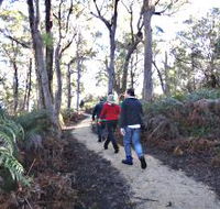 Bridport Walking Track - Schoolies Week Accommodation