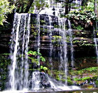 Mt Field National Park - Schoolies Week Accommodation