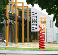 Queen Victoria Museum and Art Gallery - Schoolies Week Accommodation
