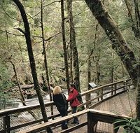 Franklin River Nature Trail - Schoolies Week Accommodation
