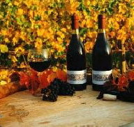 Craigow Vineyard - Schoolies Week Accommodation