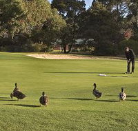 Royal Hobart Golf Club - Schoolies Week Accommodation
