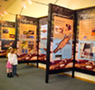 Platypus Experience - Schoolies Week Accommodation