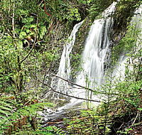 Hogarth Falls - Schoolies Week Accommodation