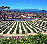 Kate's Berry Farm - Schoolies Week Accommodation
