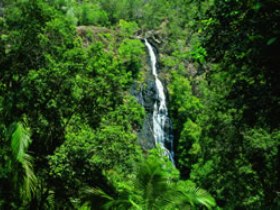Montville QLD Schoolies Week Accommodation