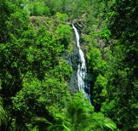 Kondalilla National Park - Schoolies Week Accommodation