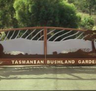 Tasmanian Bushland Garden - Schoolies Week Accommodation