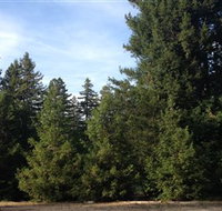 Pialligo Redwood Forest - Schoolies Week Accommodation