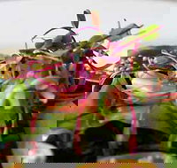 Courgette - Schoolies Week Accommodation