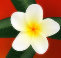 Well Retreat - Day Spa and Teahouse - Schoolies Week Accommodation