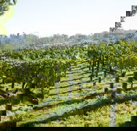 Surveyor's Hill Vineyards - Schoolies Week Accommodation