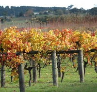 Apsley Gorge Vineyard - Schoolies Week Accommodation