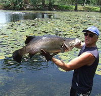 Barra Feeding - Schoolies Week Accommodation