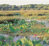 Fogg Dam Conservation Reserve - Schoolies Week Accommodation
