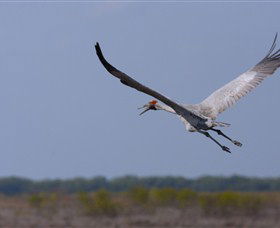Gayngaru Wetlands Interpretive Walk - Schoolies Week Accommodation 0