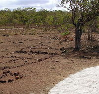 Wurrwurrwuy Garanhan Macassan Beach Interpretive Walk - Schoolies Week Accommodation
