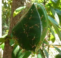 Greenant Creek Walk - Schoolies Week Accommodation