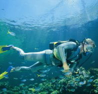 Kirra Reef Dive Site - Schoolies Week Accommodation