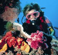 Cook Island Dive Site - Schoolies Week Accommodation