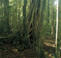 Lamington National Park Binna Burra Section - Schoolies Week Accommodation
