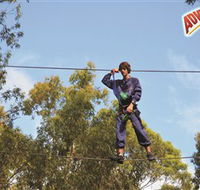 Adventure Parc at Currumbin Wildlife Sanctuary - Schoolies Week Accommodation