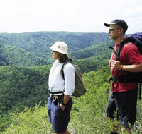 Sunshine Coast Hinterland Great Walk - Schoolies Week Accommodation