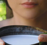 Ikatan Day Spa - Schoolies Week Accommodation