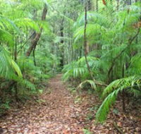 Delicia Road Conservation Park - Schoolies Week Accommodation