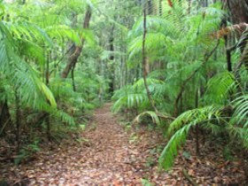 Delicia Road Conservation Park - Schoolies Week Accommodation 0