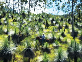 Bicentennial National Trail - Section 5 - Schoolies Week Accommodation 0
