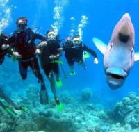 Magic Mountain Dive Site - Schoolies Week Accommodation