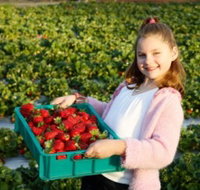 Strawberry Fields - Schoolies Week Accommodation