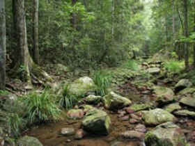 Amamoor QLD Schoolies Week Accommodation