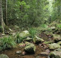 Amamoor State Forest - Schoolies Week Accommodation