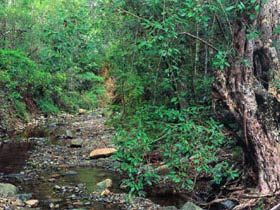 Mudlo National Park - Schoolies Week Accommodation 0