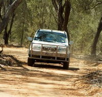 Ward River 4x4 Stock Route Trail - Schoolies Week Accommodation
