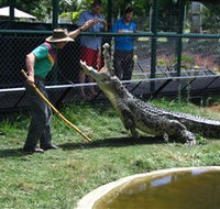 Snakes Downunder Reptile Park and Zoo - Schoolies Week Accommodation