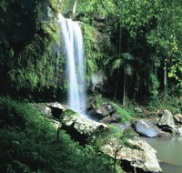 Curtis Falls Joalah Section - Schoolies Week Accommodation