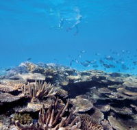 Australian Institute of Marine Science - Schoolies Week Accommodation