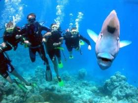 Gotham City Dive Site - Schoolies Week Accommodation 0
